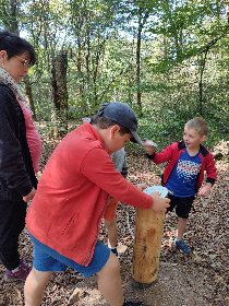 Sentier d'interprétation du bois du Bruel à Vabre-Tizac, OFFICE DE TOURISME AVEYRON SEGALA