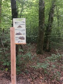 Sentier d'interprétation du bois du Bruel à Vabre-Tizac, OFFICE DE TOURISME AVEYRON SEGALA
