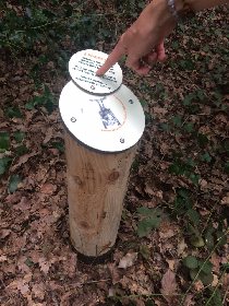 Sentier d'interprétation du bois du Bruel à Vabre-Tizac, OFFICE DE TOURISME AVEYRON SEGALA