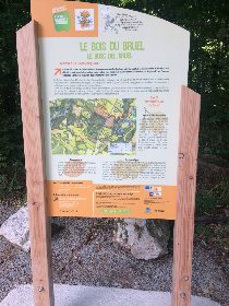 Sentier d'interprétation du bois du Bruel à Vabre-Tizac, OFFICE DE TOURISME AVEYRON SEGALA
