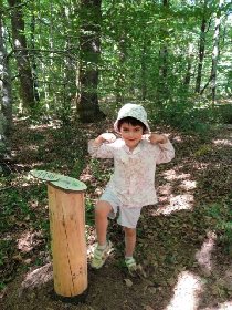 Sentier d'interprétation du bois du Bruel à Vabre-Tizac, OFFICE DE TOURISME AVEYRON SEGALA