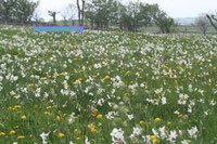 Chambre d'hôtes Les Mazes - Pierre et Thérèse Brousse, Pierre et Thérèse Brousse (groupes)