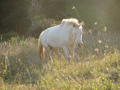 Chevauchée Nature, OT Villefranche-Najac