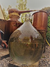 Les Plantes Compagnes, Office de Tourisme des Causses à l'Aubrac