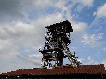 Le 19, propriétaire