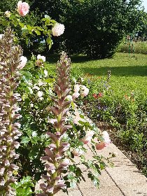 Le Temps d'M, OFFICE DE TOURISME DE CAPDENAC (BUREAU DE L'OT DU PAYS DE FIGEAC)