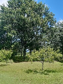 Le Temps d'M, OFFICE DE TOURISME DE CAPDENAC (BUREAU DE L'OT DU PAYS DE FIGEAC)