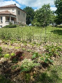 Le Temps d'M, OFFICE DE TOURISME DE CAPDENAC (BUREAU DE L'OT DU PAYS DE FIGEAC)