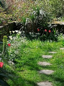 La maison de la Carrerie - Calmont (12450), ADT de l'Aveyron