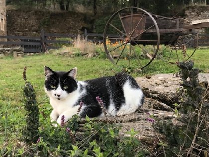 Gite du mas Bertrand, Mas Bertrand