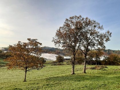 Gîte de Volonzac, Xavier DARCOS