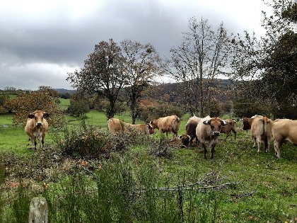 Gîte de Volonzac, Xavier DARCOS