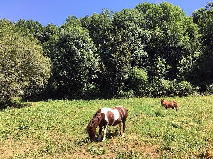 Centre Équestre de Najac, Jardin du P'tit Cheval