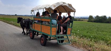 Centre Équestre de Najac, Jardin du P'tit Cheval