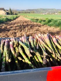 Domaine le Verdus - Asperges, OFFICE DE TOURISME de CONQUES-MARCILLAC
