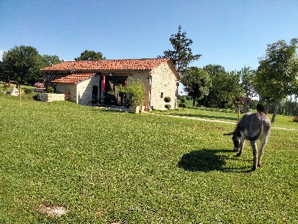 Le Gametis, Le Gametis