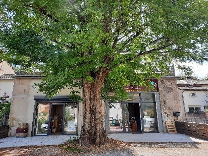 Le Cellier , OFFICE DE TOURISME DU PAYS DE ROQUEFORT ET DU ST-AFFRICAIN
