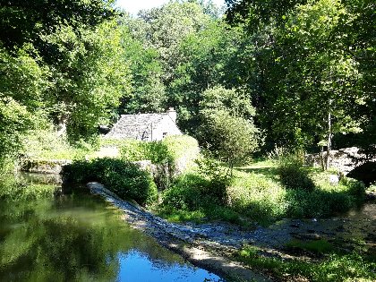 Les Martinets du Lézert - circuit gorges de l'Aveyron et plateau du Ségala, OFFICE DE TOURISME AVEYRON SEGALA