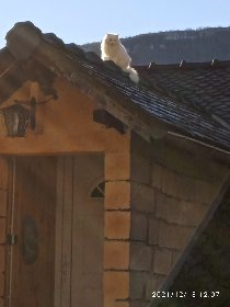 Gîte L'éolien, Gîte L'éolien