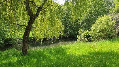 Chez Patoue, Chez Patoue