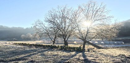 Pays' en Direct vos producteurs de saveurs, OFFICE DE TOURISME DU GRAND RODEZ