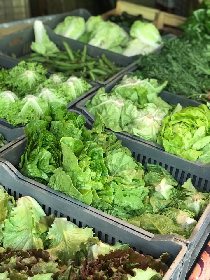 Pays' en Direct vos producteurs de saveurs, OFFICE DE TOURISME DU GRAND RODEZ