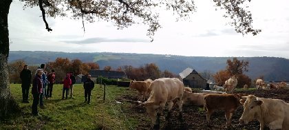 Pays' en Direct vos producteurs de saveurs, OFFICE DE TOURISME DU GRAND RODEZ