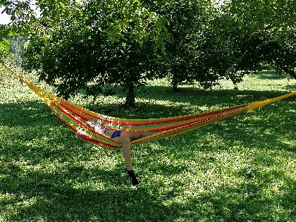 Gîte de Bernadette et Bernard près de Conques_Détente dans le verger, Magaly Bruel