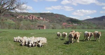 Lycée agricole La Cazotte, OFFICE DE TOURISME DU PAYS DE ROQUEFORT ET DU ST-AFFRICAIN