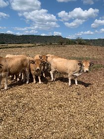 Lycée agricole La Cazotte, OFFICE DE TOURISME DU PAYS DE ROQUEFORT ET DU ST-AFFRICAIN
