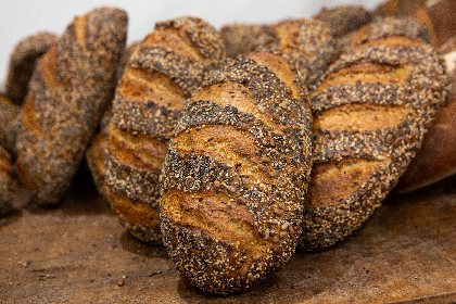 GAEC de Salelles , Eleonore Henry de Frahan