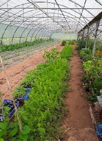Au potager du Dourdou, ROQUEFORT TOURISME