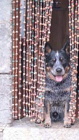 La Grange sur le Roc, Ingrio Vellekens
