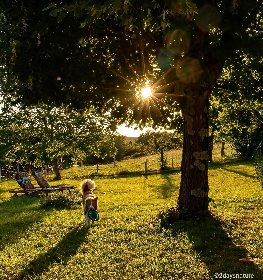 La Grange sur le Roc, Ingrio Vellekens