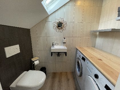 Les acacias, Les acacias