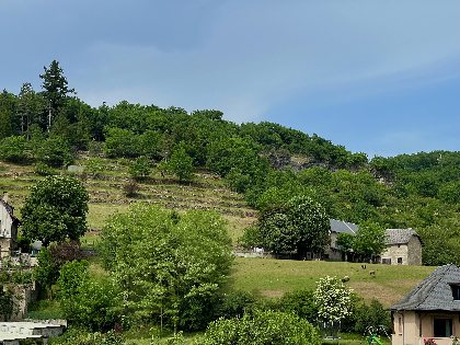 Les acacias, Les acacias