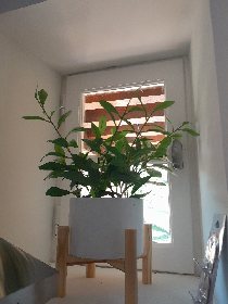 Gite Chez Laurette, Office de Tourisme des Causses à l'Aubrac