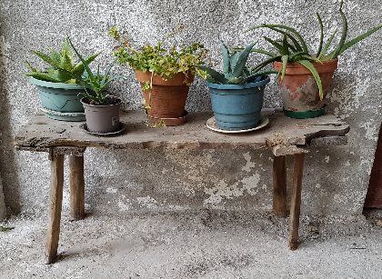 Alexandra Bidaut, Alexandra Bidaut