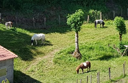 Alexandra Bidaut, Alexandra Bidaut