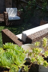 Alexandra Bidaut, Alexandra Bidaut