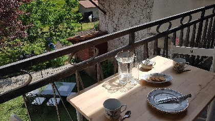 Alexandra Bidaut, Alexandra Bidaut