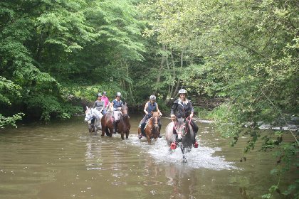 Les Gîtes de la Ferme équestre, CléVacances