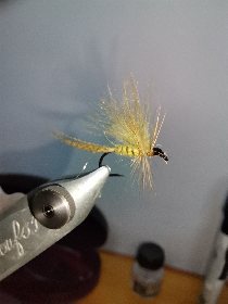 Culture Mouche Aveyron , OFFICE DE TOURISME DU GRAND RODEZ