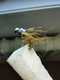 Culture Mouche Aveyron , OFFICE DE TOURISME DU GRAND RODEZ