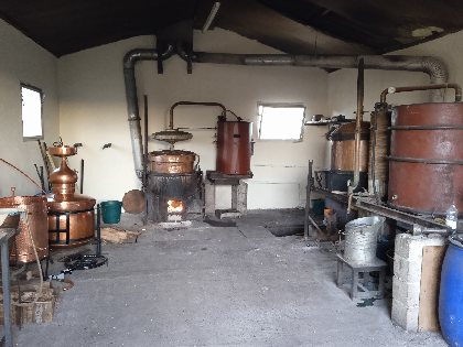 Société Coopérative Distillation Saint-Igest, Distillerie Saint-Igest 