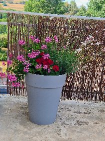 La Grange des oiseaux, Mme Combres - La Grange