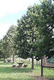 Aire de pique-nique du Laux, OFFICE DE TOURISME CANTONAL DE SAINT AMANS DES COTS