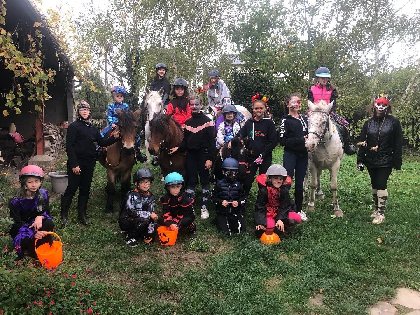 Ségala Lévézou Equitation, ADT de l'Aveyron