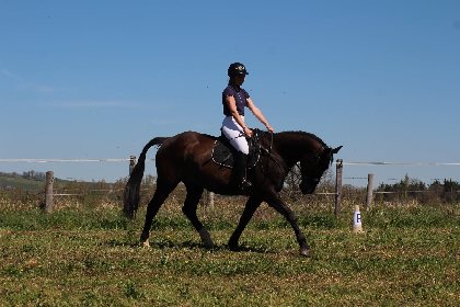Ségala Lévézou Equitation, ADT de l'Aveyron