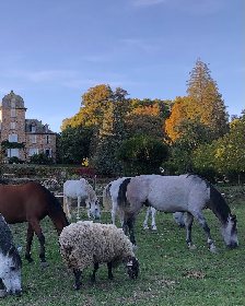 Ségala Lévézou Equitation, ADT de l'Aveyron